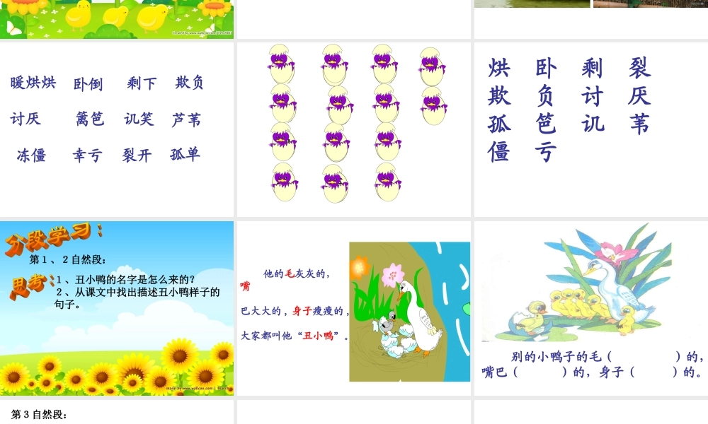 《丑小鸭》课件 (2)