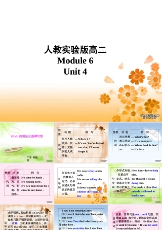 广东地区高二英语Module6 Unit4 It专项训练课件示例二 人教实验版 课件