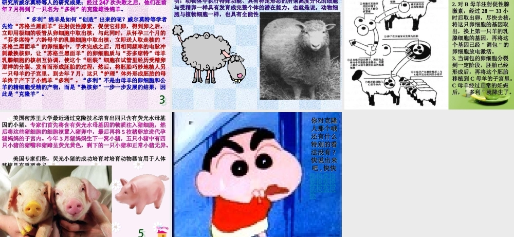 八年级语文上册 17(奇妙的克隆)课件 新人教版 课件