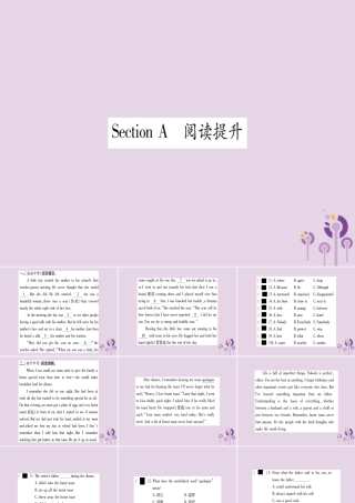 九年级英语全册 Unit 7 Teenagers should be allowed to choose their own clothes Section A作业课件 (新版)人教新目标版 课件