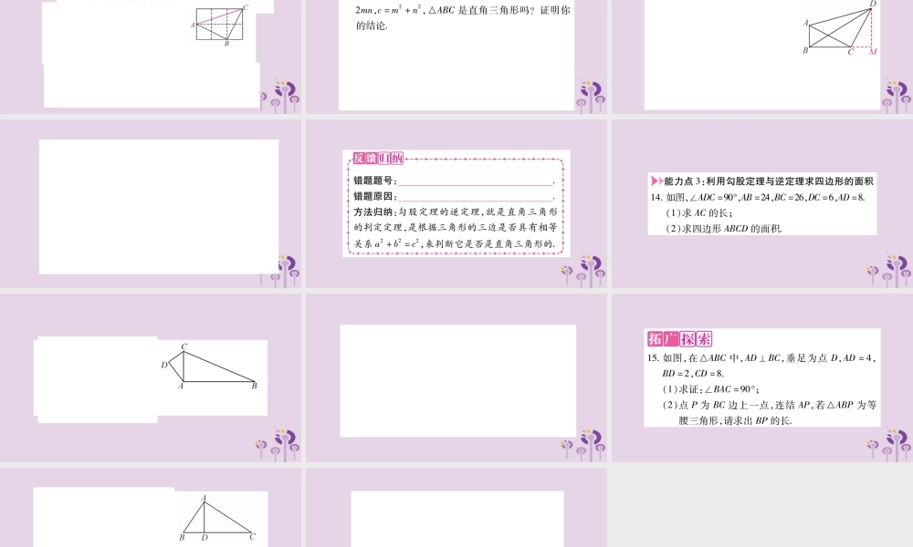 八年级数学上册 第14章 勾股定理 14.1 勾股定理 14.1.2 直角三角形的判定作业课件 (新版)华东师大版 课件