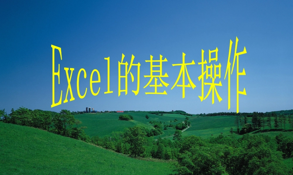 用Excel处理数据