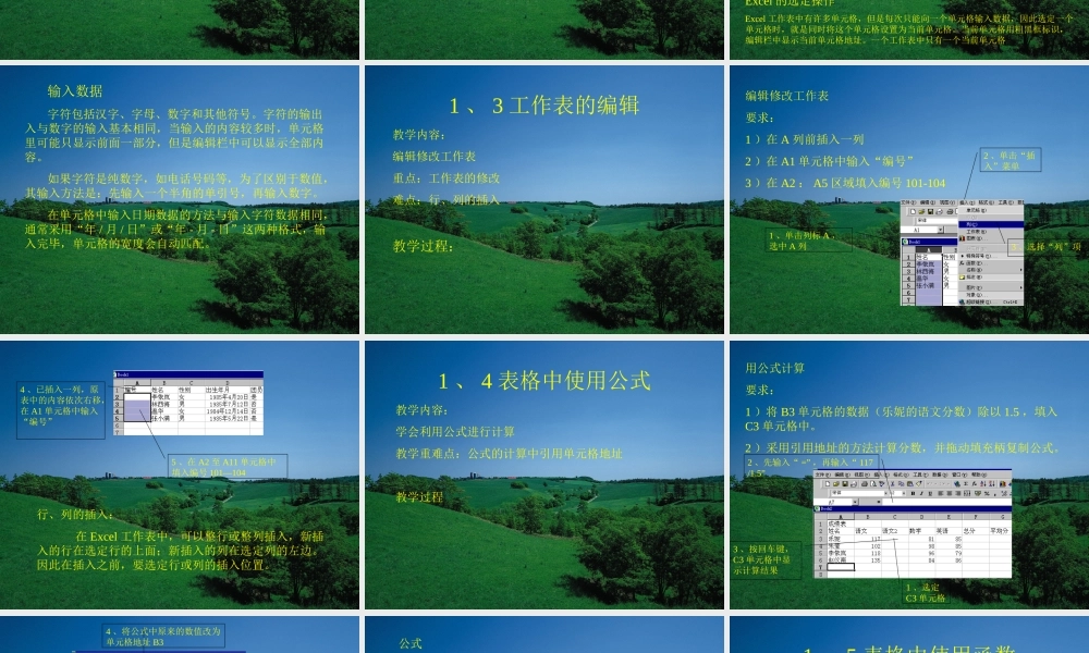 用Excel处理数据