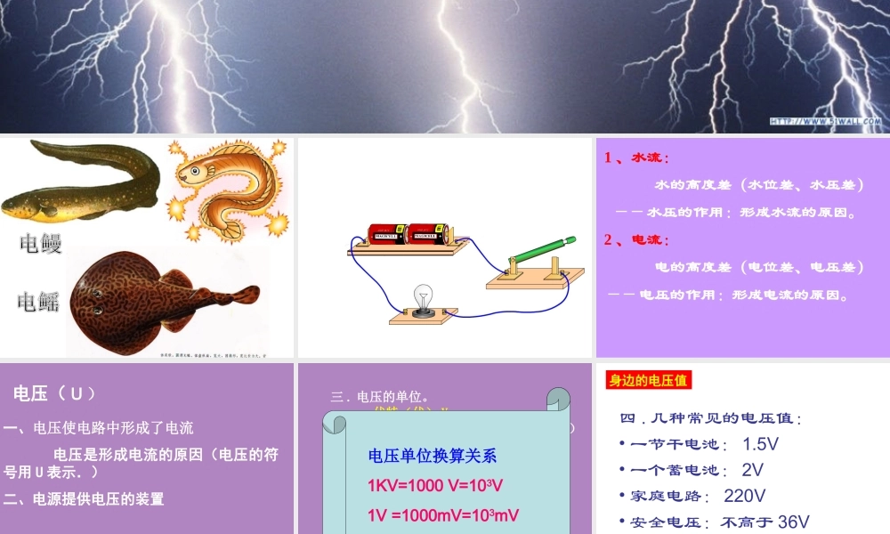 一、电压-(2)