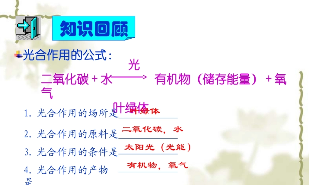 七年级生物上：第一章第四节绿色植物的呼吸作用课件(济南版) 课件