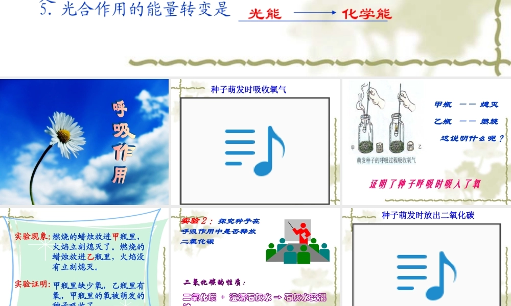 七年级生物上：第一章第四节绿色植物的呼吸作用课件(济南版) 课件