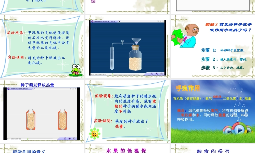 七年级生物上：第一章第四节绿色植物的呼吸作用课件(济南版) 课件