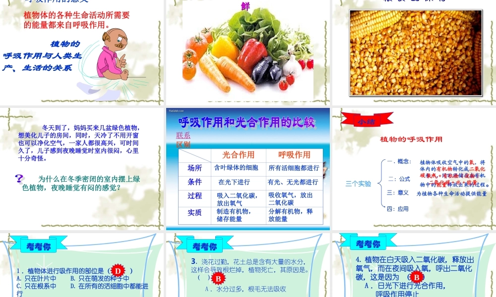 七年级生物上：第一章第四节绿色植物的呼吸作用课件(济南版) 课件