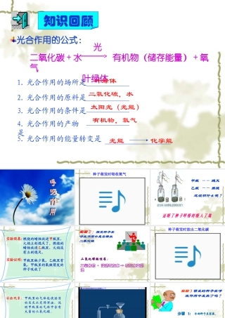 七年级生物上：第一章第四节绿色植物的呼吸作用课件(济南版) 课件
