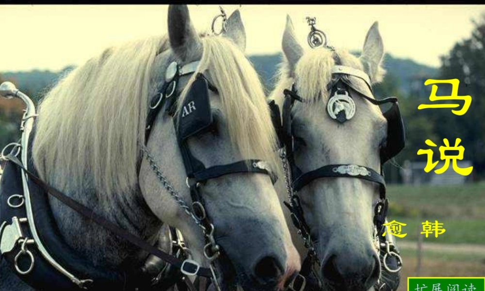 马说复习课件2