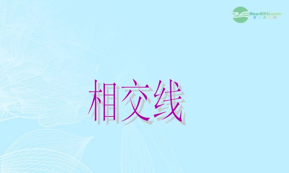 广西桂林市七年级数学(相交线)课件  人教新课标版 课件