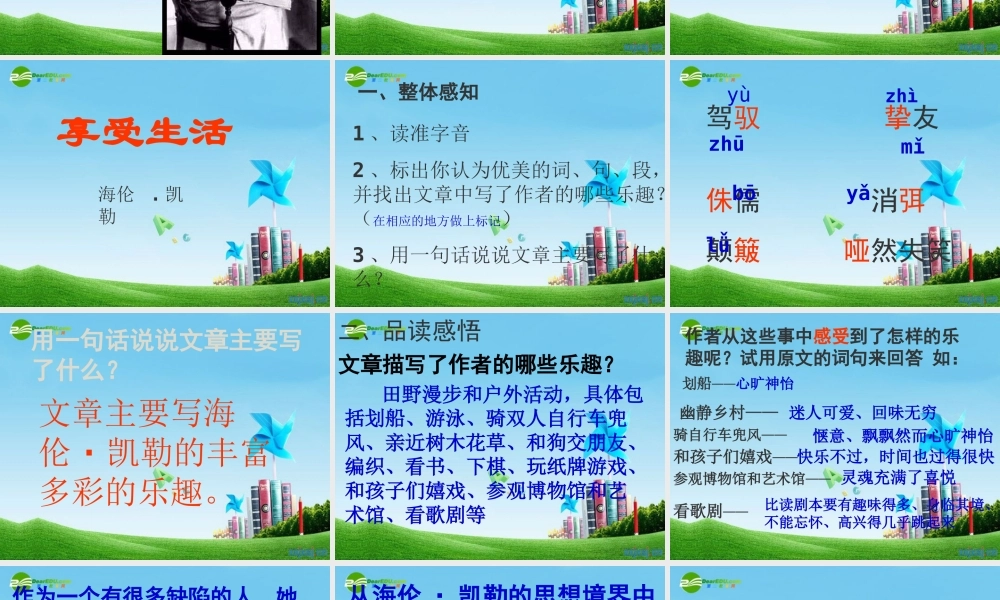 九年级语文下册 (享受生活)优秀实用课件 苏教版 课件