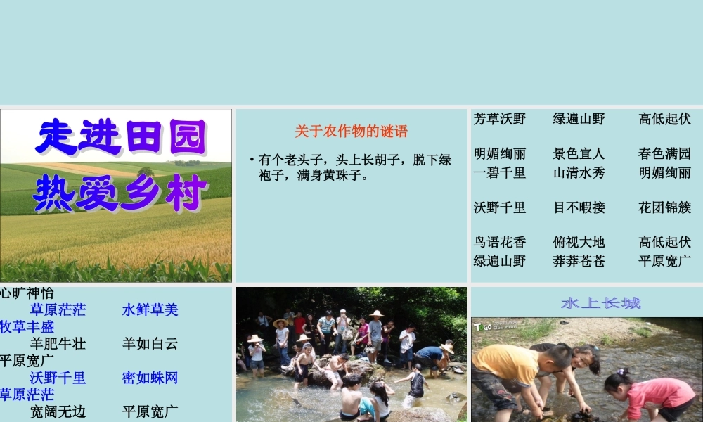 四年级下第六单元习作