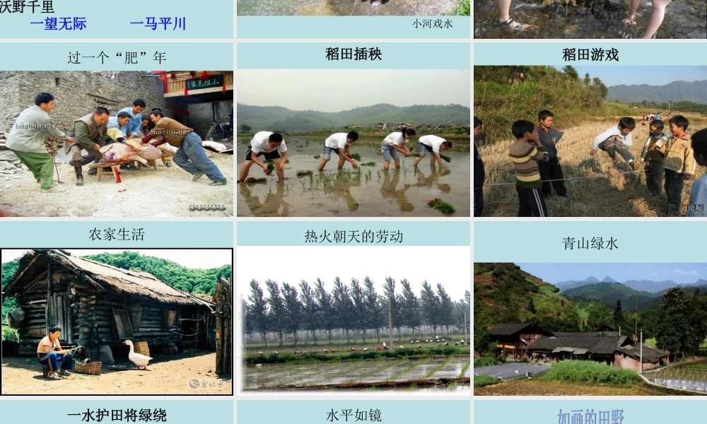 四年级下第六单元习作