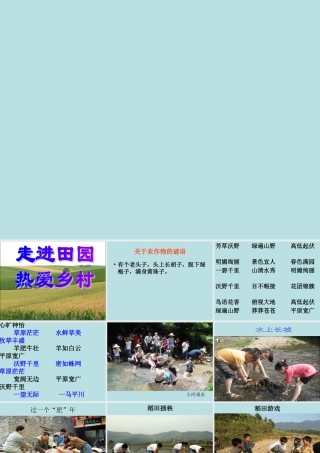 四年级下第六单元习作