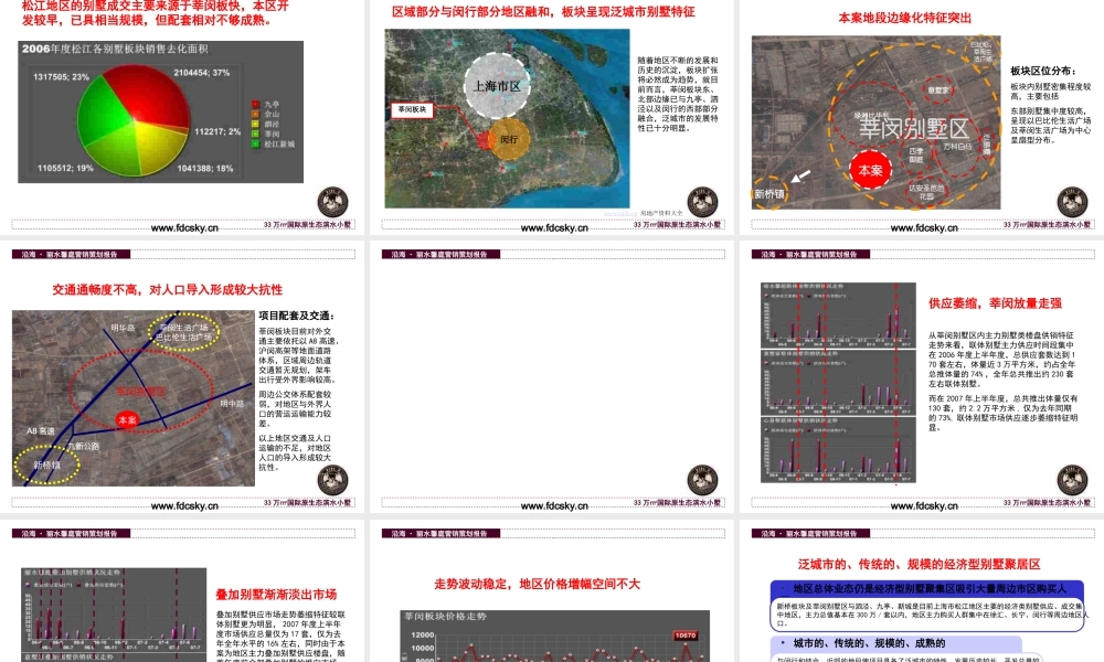 2007年上海沿海丽水馨庭营销策划报告