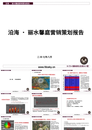 2007年上海沿海丽水馨庭营销策划报告