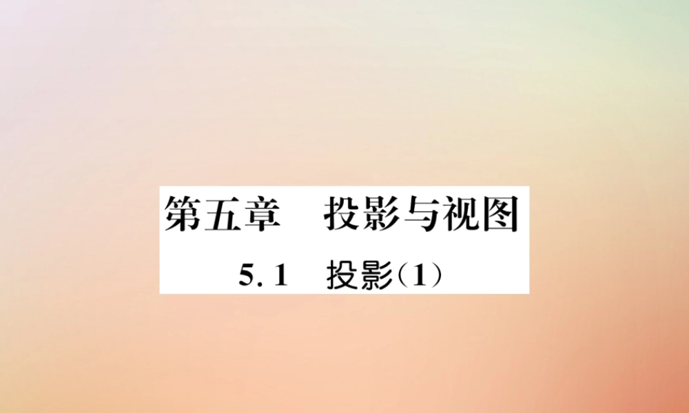 九年级数学上册 第5章 投影与视图 51 投影(1)作业课件 (新版)北师大版 课件