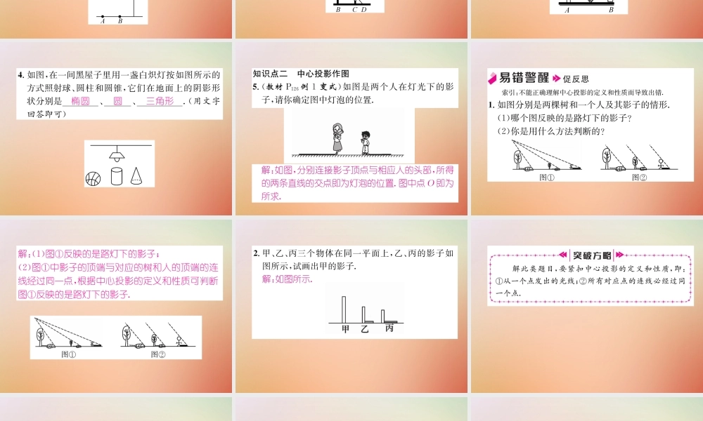 九年级数学上册 第5章 投影与视图 51 投影(1)作业课件 (新版)北师大版 课件