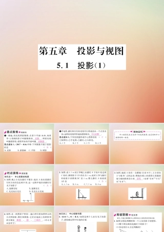 九年级数学上册 第5章 投影与视图 51 投影(1)作业课件 (新版)北师大版 课件