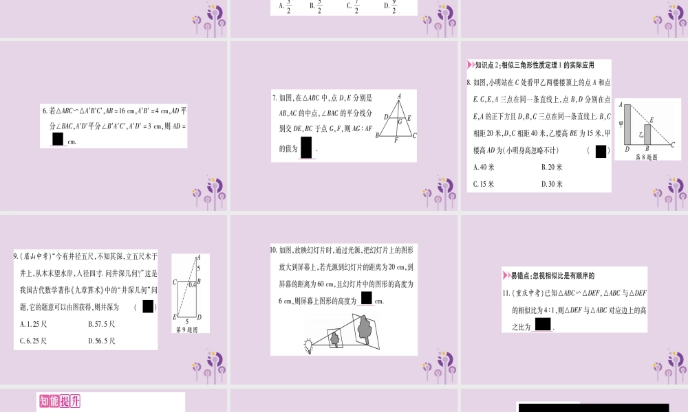 九年级数学上册 第22章 相似形 223 相似三角形的性质 第1课时 相似三角形的性质定理1作业课件 (新版)沪科版 课件