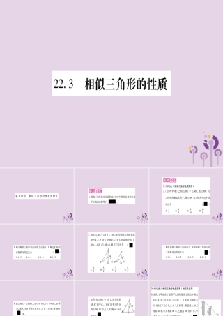 九年级数学上册 第22章 相似形 223 相似三角形的性质 第1课时 相似三角形的性质定理1作业课件 (新版)沪科版 课件