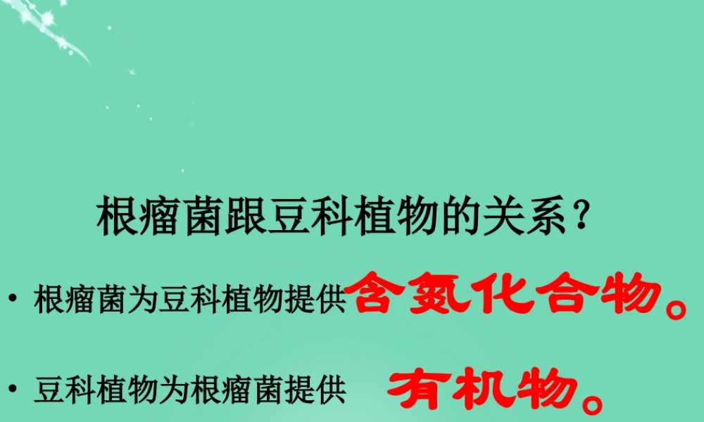 七年级生物上册 第二单元 第三章 第四节 微生物在生物圈中的作用 根瘤菌与豆科植物课件 (新版)济南版 课件