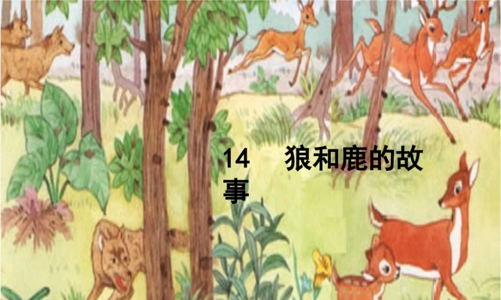 狼和鹿的故事正式