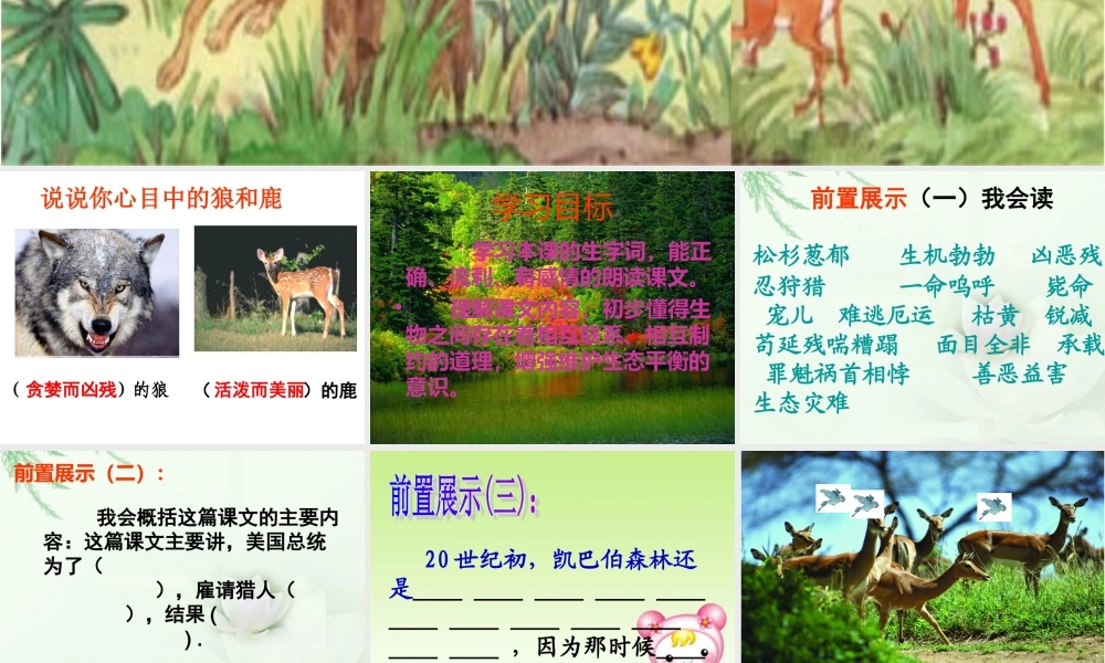 狼和鹿的故事正式