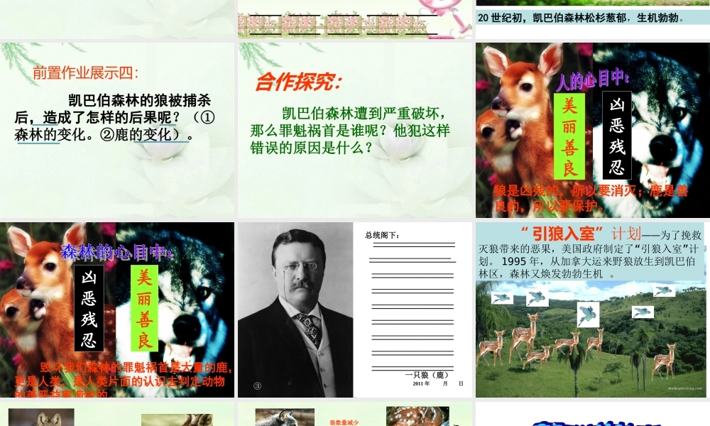 狼和鹿的故事正式