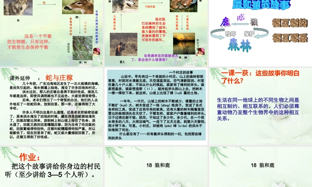 狼和鹿的故事正式