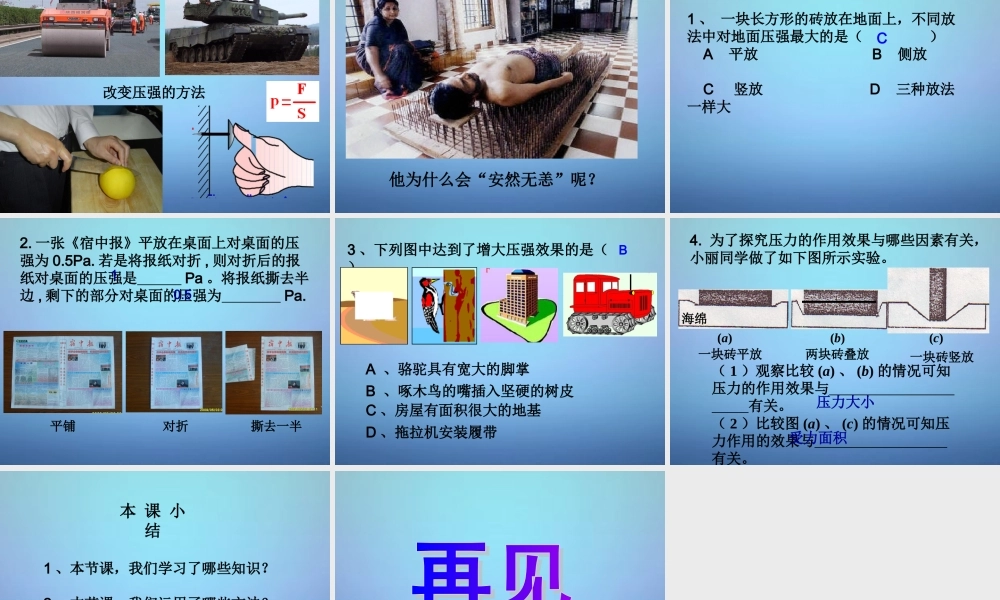 八年级物理下册 10.1 压强课件 苏科版 课件