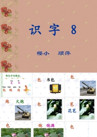 苏教小学语文第三册识字8课件PPT版
