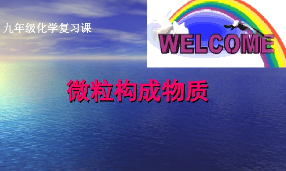 构成物质的微粒