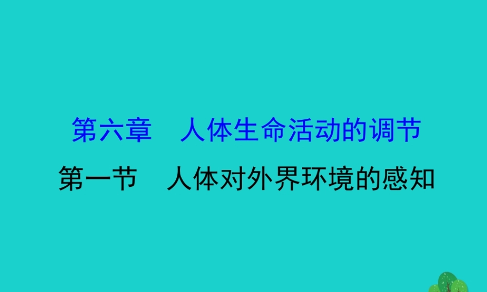 七年级生物下册 4.6.1人体对外界环境的感知习题课件(新版)新人教版 课件
