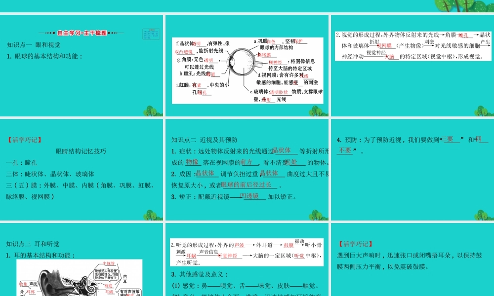 七年级生物下册 4.6.1人体对外界环境的感知习题课件(新版)新人教版 课件