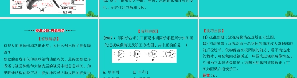 七年级生物下册 4.6.1人体对外界环境的感知习题课件(新版)新人教版 课件