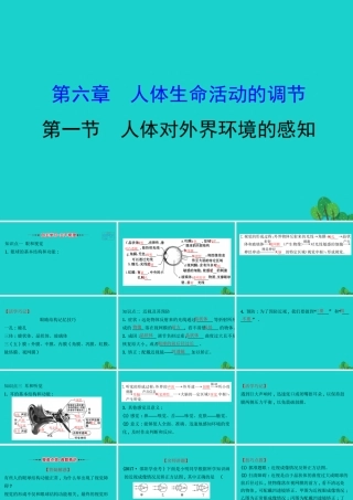 七年级生物下册 4.6.1人体对外界环境的感知习题课件(新版)新人教版 课件