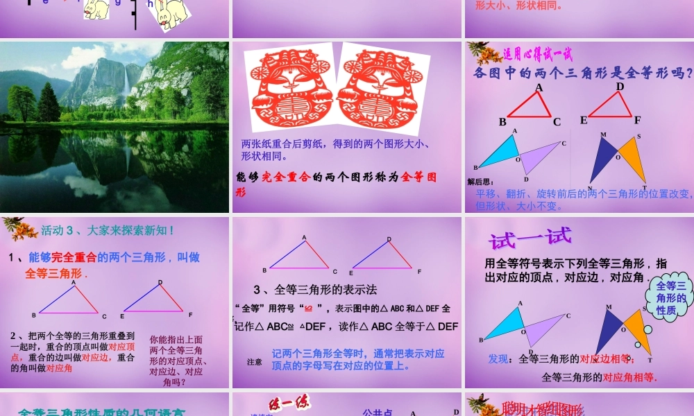 八年级数学上册 1.4 全等三角形课件 (新版)浙教版 课件