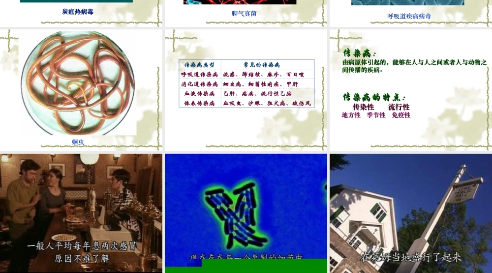 八年级生物传染病和免疫)课件1新人教版 课件
