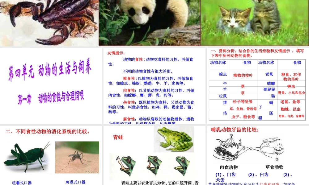 初二生物《动物的食性与合理饲喂》PPT课件