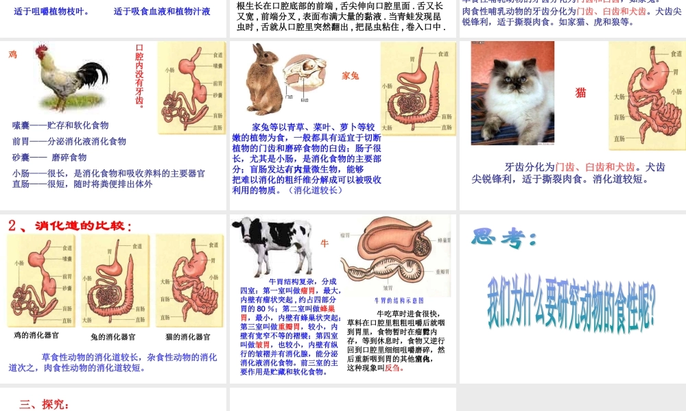 初二生物《动物的食性与合理饲喂》PPT课件