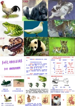 初二生物《动物的食性与合理饲喂》PPT课件