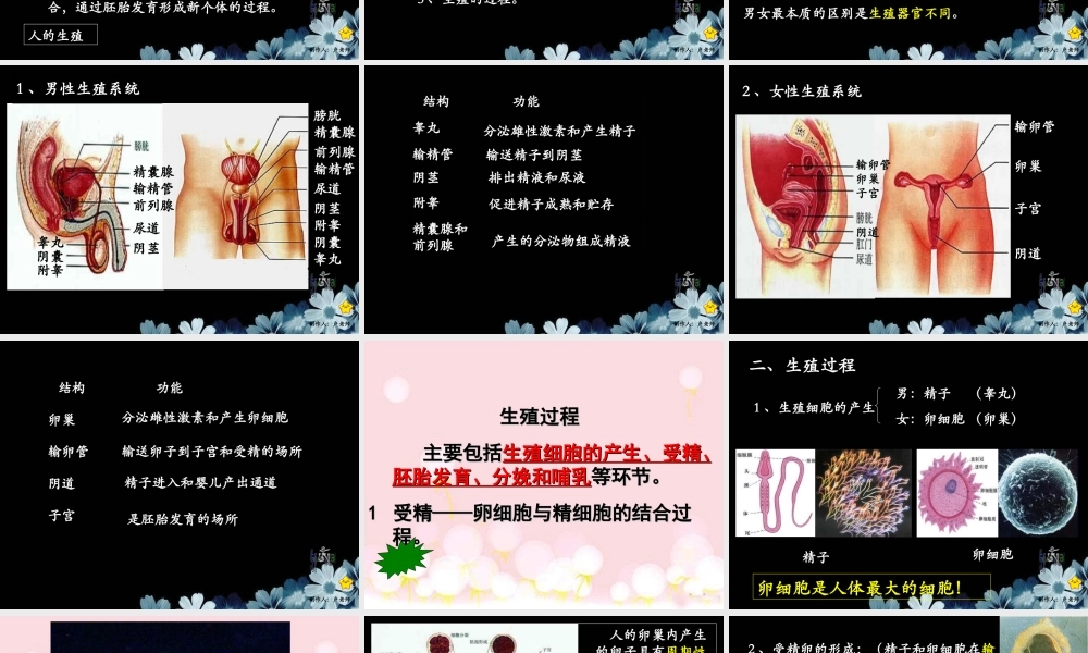 科学家的故事-“试管婴儿之父”荣获诺贝尔奖-(3)