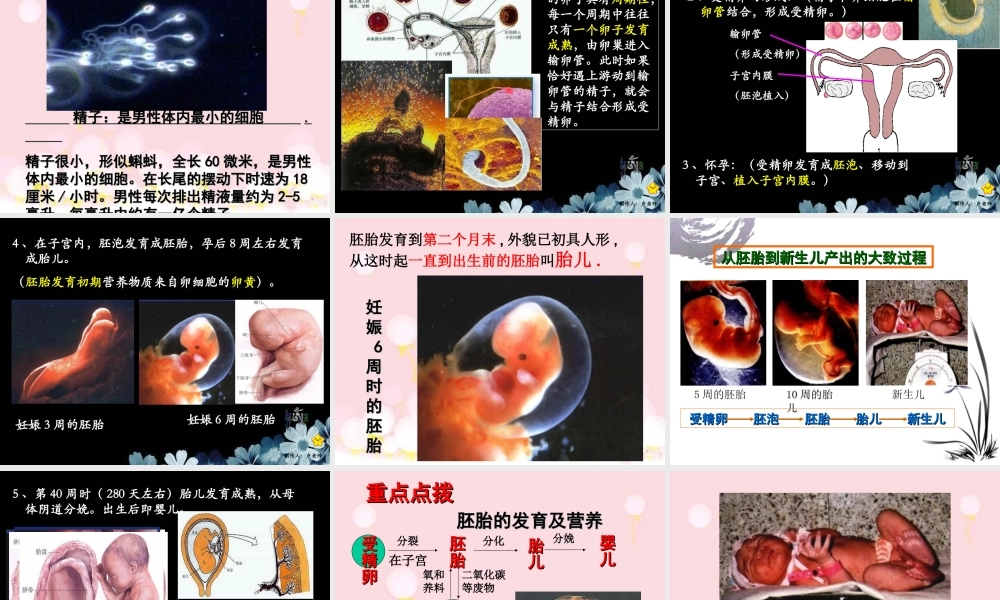 科学家的故事-“试管婴儿之父”荣获诺贝尔奖-(3)