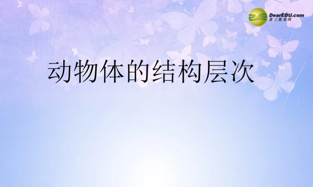 中学七年级生物上册 动物体的结构层次课件 新人教版 课件
