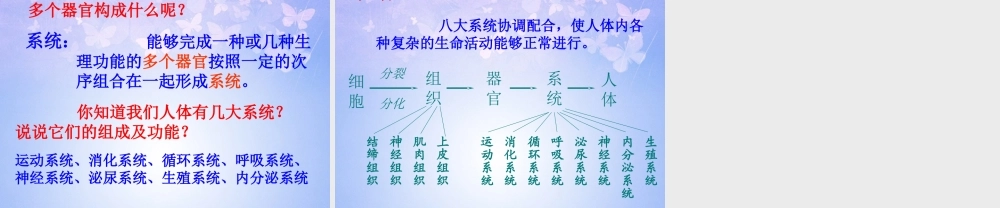 中学七年级生物上册 动物体的结构层次课件 新人教版 课件