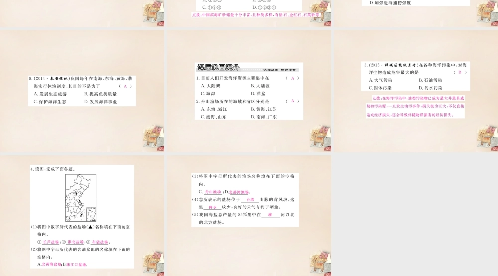 八年级地理上册 第三章 第四节 中国的海洋资源课件 (新版)湘教版 课件