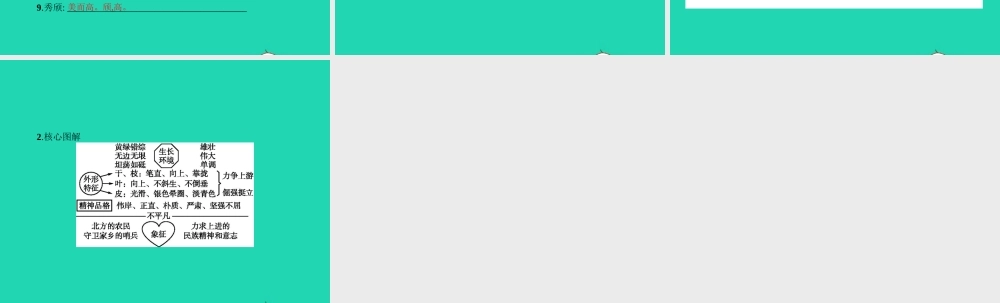 九年级语文上册 第一单元 1 白杨礼赞课件 语文版 课件