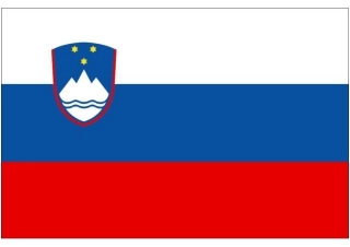 世界杯纸模：助威国旗(C4-斯洛文尼亚)